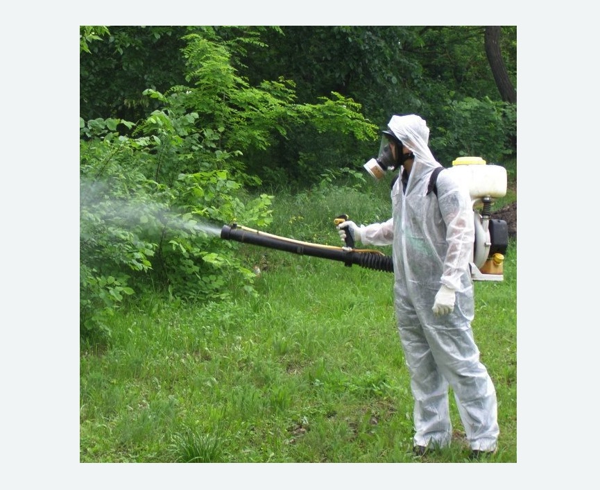 обработка территории от клещей в  Ивантеевке