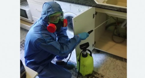 Уничтожение муравьев в квартире. Ивантеевка