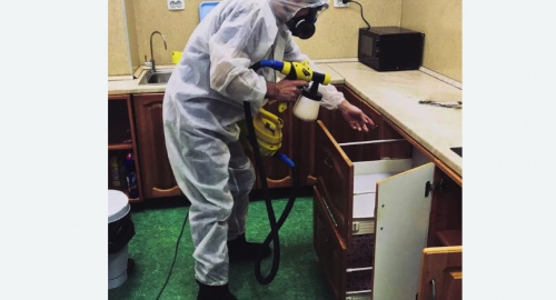 Уничтожение насекомых в квартире. Ивантеевка