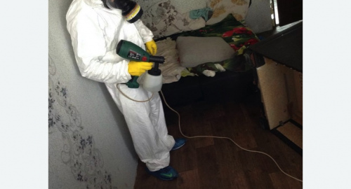 Обработка квартир от насекомых в  Ивантеевке