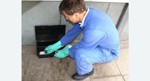 Уничтожение мышей. Ивантеевка