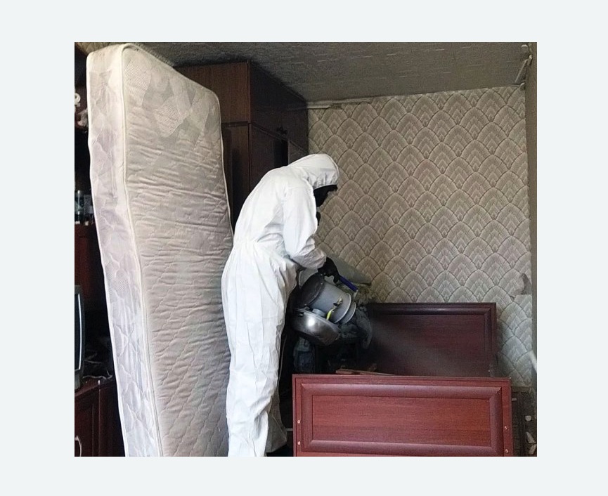 дезинфекция от клопов в  Ивантеевке