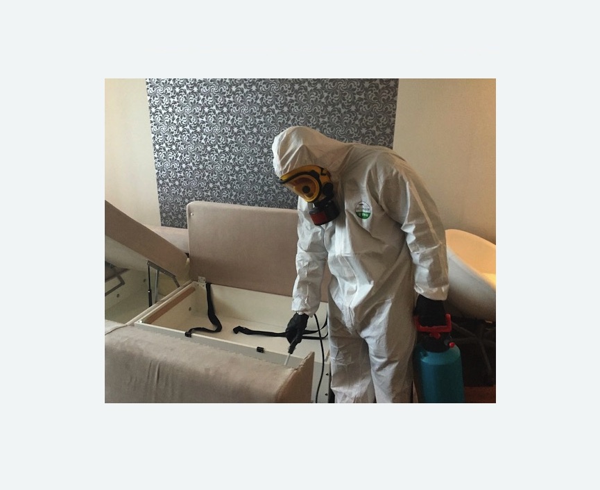 уничтожение клопов в квартире в  Ивантеевке