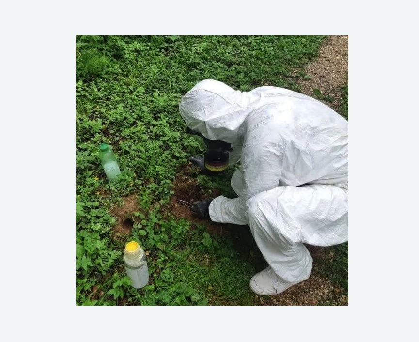 уничтожение кротов на участке в  Ивантеевке