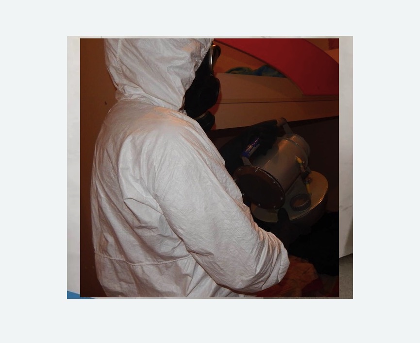 Дезинфекция от муравьев в  Ивантеевке