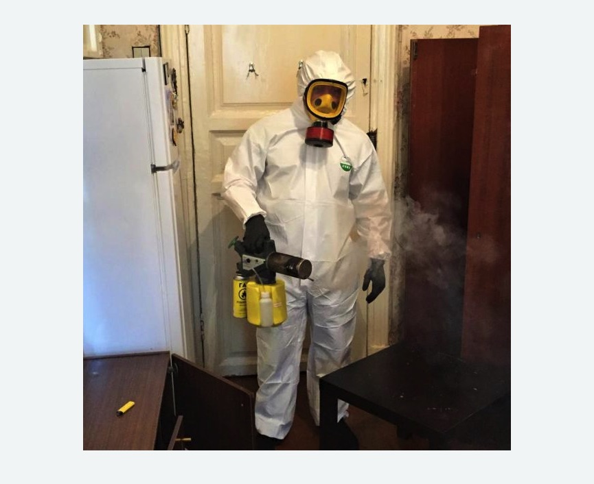 уничтожение муравьев в квартире в  Ивантеевке